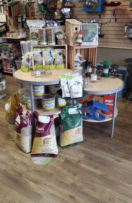 All kinds of bird stuff