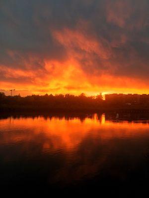 Heidi Meier - Berkshire Hathaway HomeServices NW Real Estate