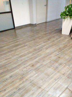 Eschewal Cleaning Services