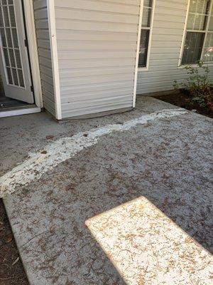 before cleaning the yard