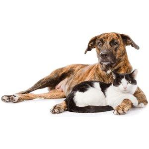 Holistic Touch Therapy