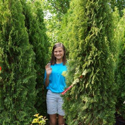 Rockwell Farms Nursery