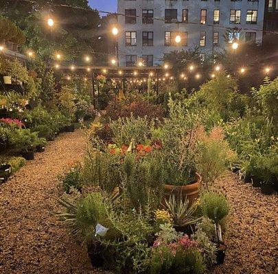 Outside Space - Brooklyn