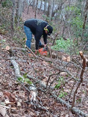 Appalachian Stump Grinding & Services