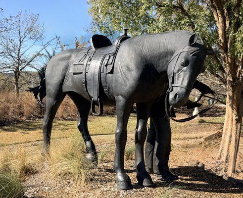 The Black Homesteader with Horse