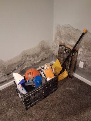 S&D Kleaning With Meaning