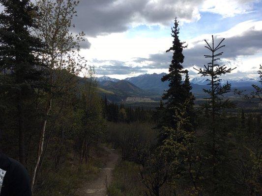 Mt. Healy Overlook Trail