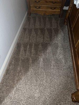 Ale’s Cleaning Services