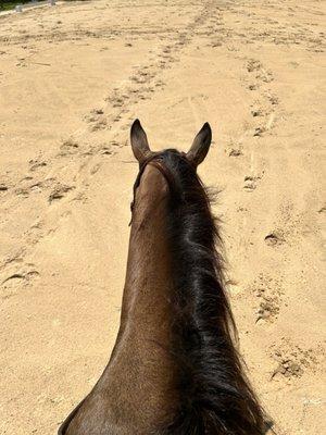 Equestrian Training Center of Ocala