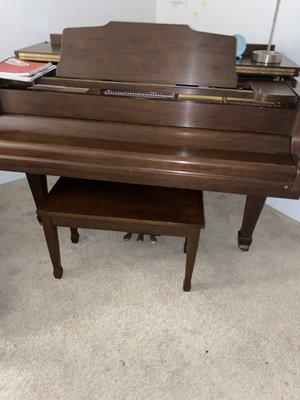 Fast action moving and delivery services