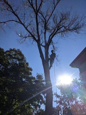 Living Stone Landscapes