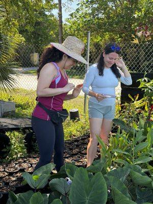 Incredible Edible Landscapes