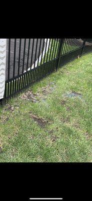 Monello Landscape Industries
