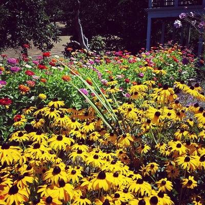 Way To Gro Compost Tea Spray Service