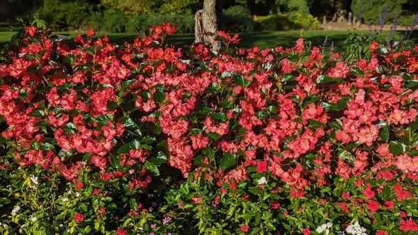 Ogden Botanical Gardens