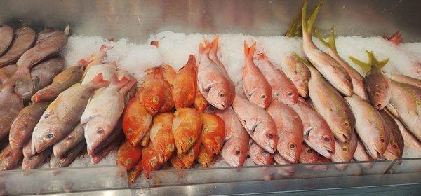 Fresh fish no smells