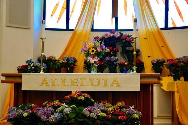 United Methodist Church of Vista