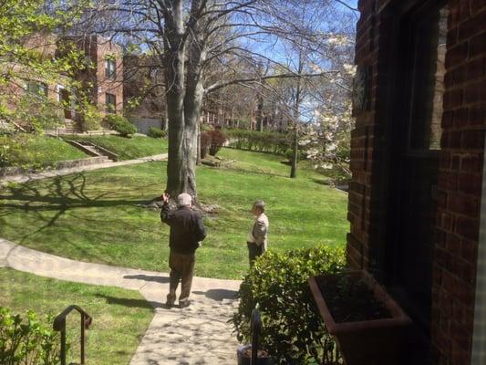 Westmoreland Associates