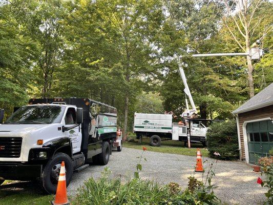 A&B Tree Service