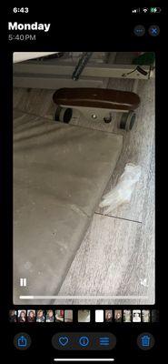 Country Villa Lynwood Healthcare Center