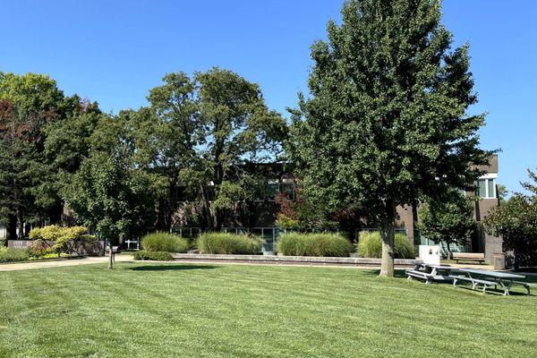 Grassy Area with Picnic Tables and a Grill