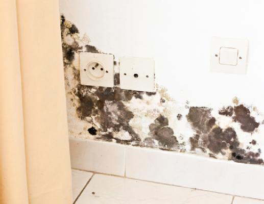 Best Cleaning & Disaster Restoration Services