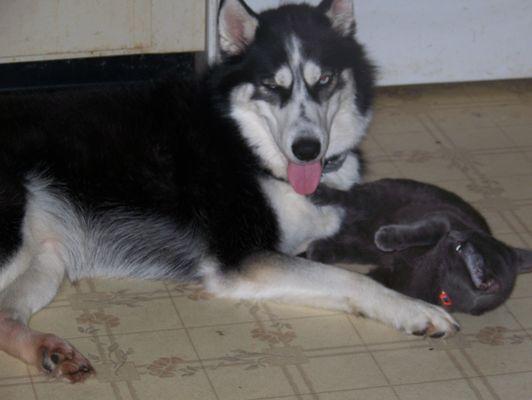 Symon and Kerry! "Thank you" Deb.