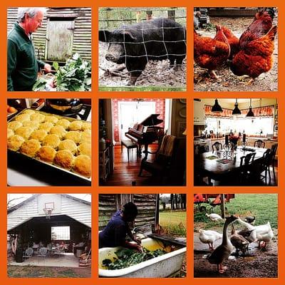 Montage of images from Brothers B&B and Farm