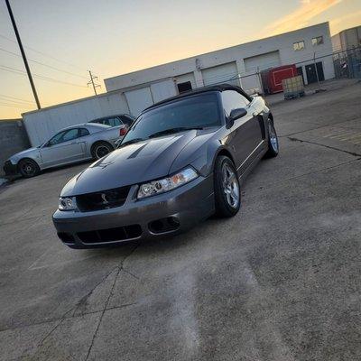 Skylights Automotive