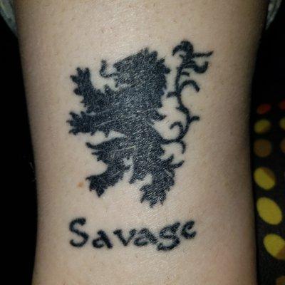 The Curious Biologist