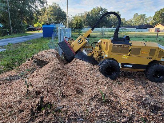 Bionic Beaver Stump Grinding