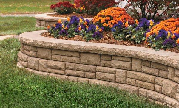Salvador & Eli's Landscaping Services
