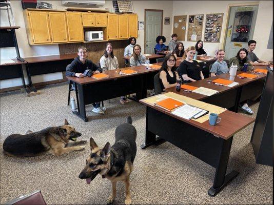 Dutch Fork Driving School