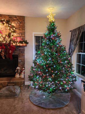 Wolfe Landscaping Nursery