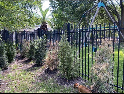 Elements Lawn & Landscape