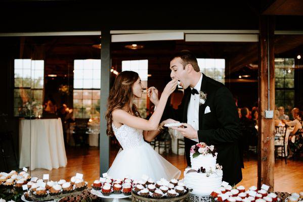 Mintahoe at Solar Arts