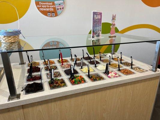 Zoyo Neighborhood Yogurt