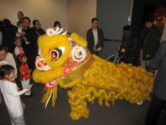 Vietnamese New Year Tet Festival - Annandale