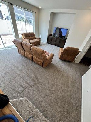 Ollie’s Carpet Cleaning