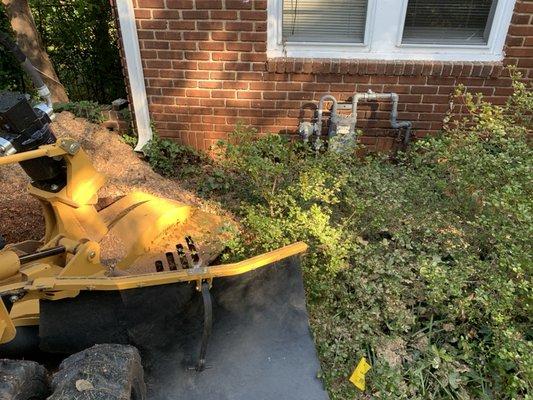 This job required a utility locate. Safety is our top priority!