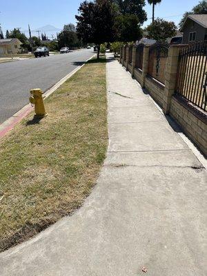 Fern’s Landscaping