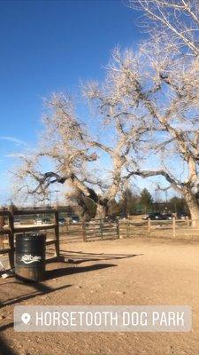 Spring Canyon Park