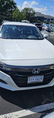 Society For Prevention of Cruelty To Animals