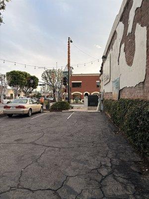 White Sparrow Coffee