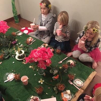 Fairy Party