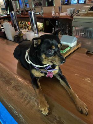 Bella getting a necklace