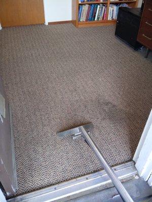 Steam Carpet Cleaning