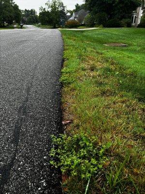 Brookside Construction Services