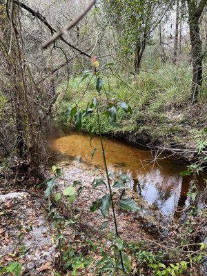 Boyette Springs Park