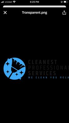 Cleanest professional Services